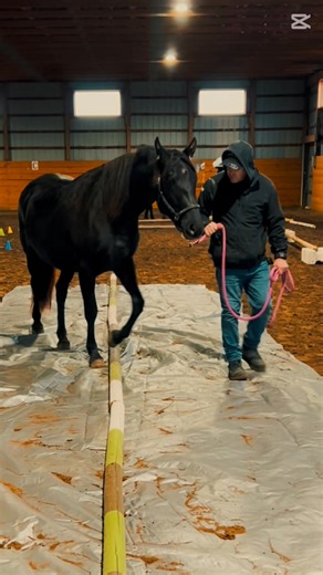 What a fabulous Halloween obstacle day today! 🎃 Big thanks to Robyn for hosting such a fun event, Tara for the invite and all the help practicing, and Sheila for hauling Kami. She learned a lot — such great exposure for her, and it was just an all-around awesome day! 🧡👻 #horsefun #friesiansporthorse #ObstacleCourse | Leasa Stanley