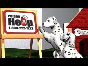 Ember911.com - Poison Education - Child Safety Program - Always Ask First