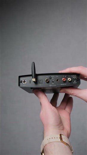 Shanling EH2 | R2R with a multi-bit character