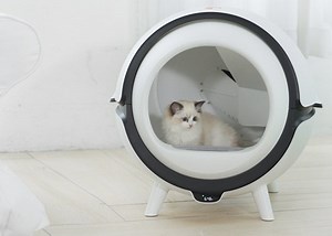 Catson automatic cleaning cat litter box