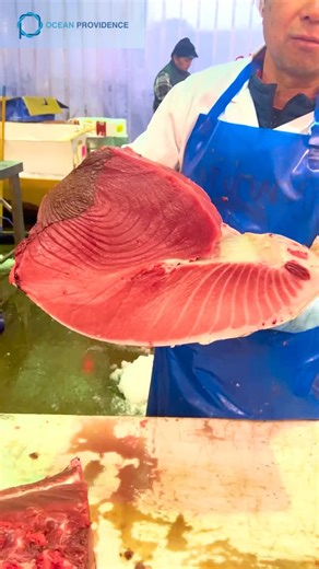 Cutting fish, preparing Uni, packing produce & more at the new location! 🤩 As per our last post, we have officially relocated to Clifton from our Brooklyn location. This change means that we have more flexibility in our production, so we’re very excited to move forward in this direction. 🤗 | OPNY - Ocean Providence New York