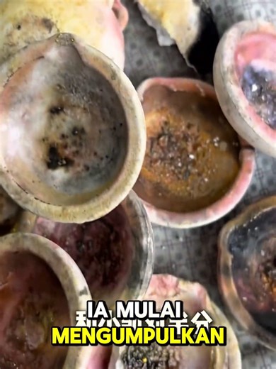 Fakta Menarik Seputar Tambang Emas