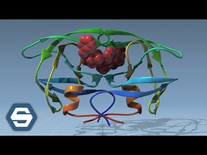 How to create molecular animations | SAMSON 2021