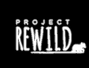 Help Orphaned Grizzly Cubs Today