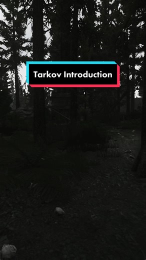 Escape From Tarkov | Mechanic Task | Introduction #eft #escapefromtarkov #tarkov #fypシ #fyp #plague #viral #youtube #youtuber #gaming #viralvideo #newyear