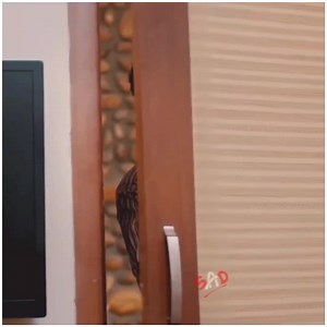 2.9M views · 120K reactions | Heart Touching  | Sad | Facebook