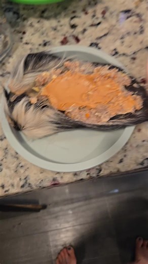 Amazing Way to Nourish Your Pets with Cow Ears