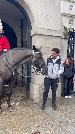 47K views · 676 reactions | "Hilarious Moments with the Royal Horse Guards: Unleashing Laughter and Tourist Fails" #HilariousMoments #RoyalHorseGuards #TouristFails #LaughOutLoud #FunnyReel | The Royals King's Guard's England | Facebook