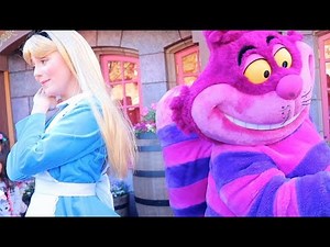 アリス&チェシャ猫グリーティング【ディズニーランド】