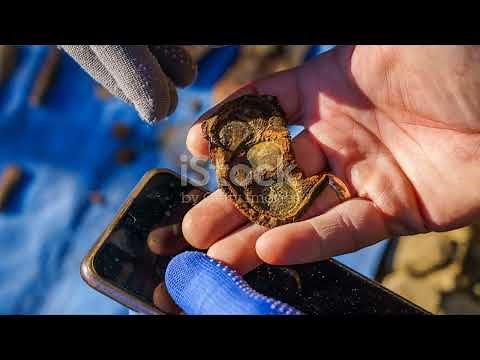 The Vanderlays: Secrets of the Underground City