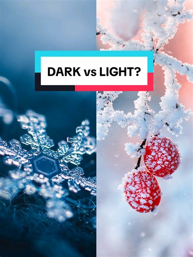 Would you like to see more of the dark and moody Winter or bright and dreamy one? 🤍🖤❄️ #macrophotography #SonyAlpha #wintermacro #frost #moodywinter