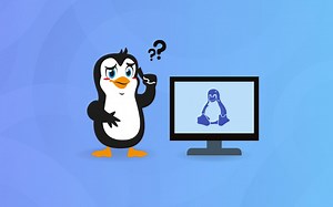 17.启动和使用MySQL服务器