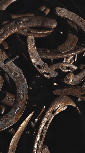 Rooted in history. | Boot Barn