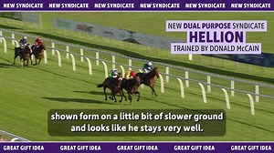 Donald thinks Hellion looks an ideal type to make a juvenile hurdler and might also have a future on the Flat too. Shares available for £24. For more information and to buy a share, visit 7a.uk/hellion | Owners Group