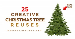 25 Creative Ways to Reuse Christmas Trees