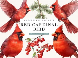 Watercolor Red Cardinal Clipart Bundle: 25 PNG Designs (digital Download) - Etsy