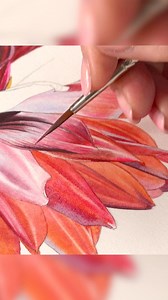 7.3K views · 287 reactions | Bringing this red dahlia to life, petal...