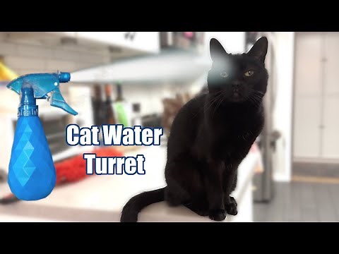 Water Gun Turret for Keeping My Cat off the Counter