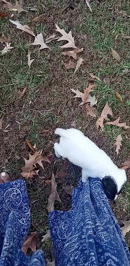 Angel Dynamite aka Boosie Bad | Earthy Badu