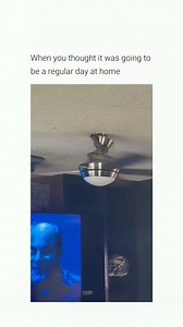 What would you do? 🤣🤣 | Vids