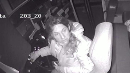 Coweta County school bus stolen: Authorities search for woman after multi-county joyride