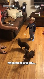 We still all get treats, right? 🤣👶🐶 #Dogs #Babies #Funny #FunnyDogs #DogLife #KidMemes | Try Not to Laugh