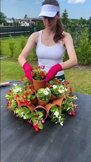 🌱 Hidden Garden Secrets in Your Flower Pot! 🤫 Unlock the Magic!