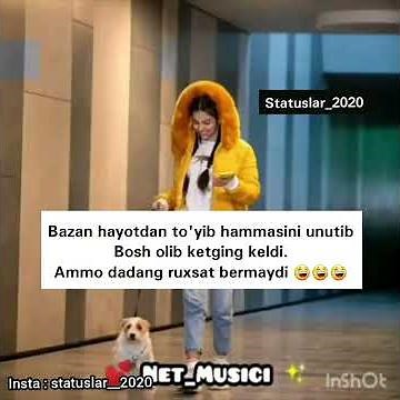 Manoli so'zlar, Statuslar