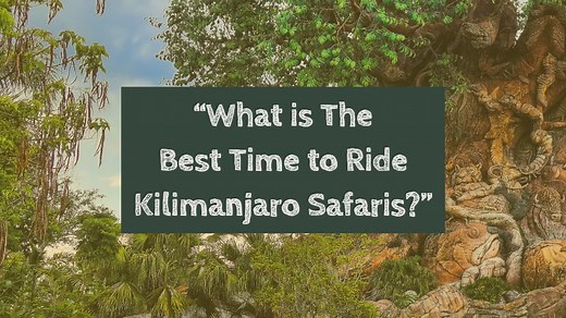 The Best Time to go on Kilimanjaro Safaris - Disney Tips