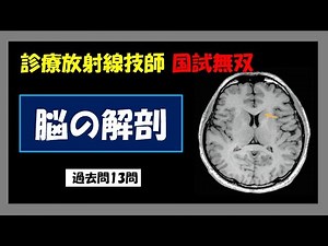 【診療放射線技師国家試験】 脳解剖