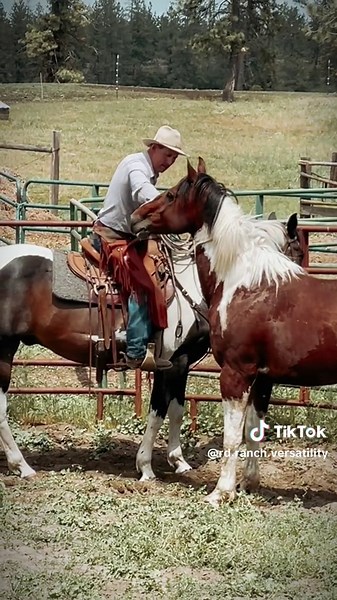 We want to say happy Father’s Day and a huge thank you to our dads, Randy Durheim and @GregRobinsonHorsemanship There is no way we would have the knowledge to do what we do without these two. Growing up learning from them has been a huge blessing and we can’t thank them enough for taking the time to teach us everything they know when we were young and continuing to coach us to this day. They are our biggest support and we are so incredibly thankful for them. #fathersday #cowboy #fyp #foryoupage 