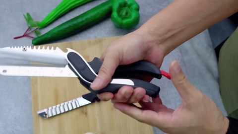 Vegetable Scissors Slicer Cutter,Quick Release/Install Kitchen Shears Cutting Board Knife Combo for Veggie,Carrots,cucumbers,potatoes,Barbecue Dishwasher Safe (Black)