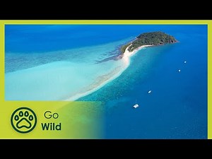 Australia's Greatest Islands - Go Wild