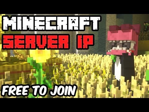 NEW MINECRAFT SERVER JUST RELEASE DAY!! (OpLegends) - Bedrock & Java Server
