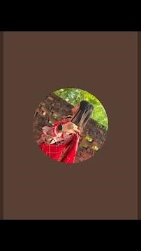 JAGRUTI 2.0 FUN is live!