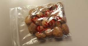 The quest to grow Red Bayberry Seeds Myrica Rubra - Chinese Yangmei