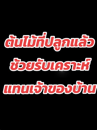 ต้นไม้ที่ปลูกแล้วช่วยรับเคราะห์แทนเจ้าของบ้าน #ต้นไม้มงคล #ปลูกต้นไม้ #ต้นสลัดได #ใบเสมา #ต้นคัดเค้า