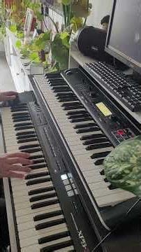 q lokura! Teclados ! #cuarteto #cover #teclado #tutorial