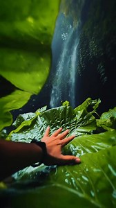 Feel the Nature 💆🍃#freedom | 𝐅𝐫𝐞𝐞𝐝𝐨𝐦