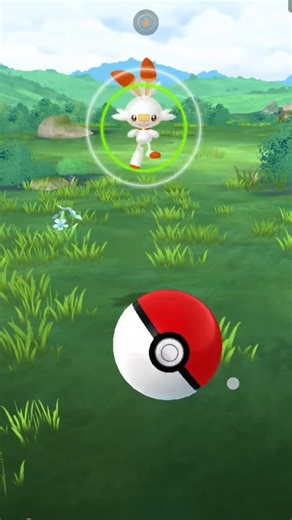 Scorbunny Community Day CHECK-IN FINALE! Shiny Hunt + Blast Burn Grind #pokemongo