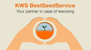 The Beet Seed Service is available to all growers of KWS varieties with EPD treated seed.🌱 It provides you with peace of mind if re-sowing is necessary. To join, simply register for myKWS and follow the steps in the video to get started! https://www.kws.com/gb/en/products/sugarbeet/beet-seed-service/ | KWS UK