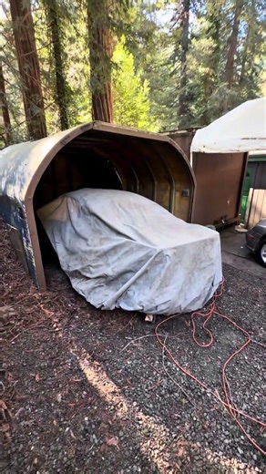 FOUND SOMETHING INSANE IN THE FOREST🤯 CAN YOU GUESS WHAT IT IS?!#barnfind #classiccars #picker