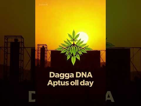 DaggaDNA Aptus oll day
