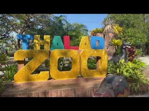 Submit an assignment to your teacher about recommending tourist attractions in your hometown.