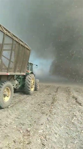 #corridos #musica #pesopluma #music #reggae #baile