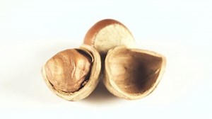 Hazelnut Ingredient Sweets Cakes Sweets Stock Footage Video (100% Royalty-free) 1023884350 | Shutterstock