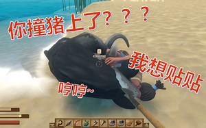 【Raft 木筏求生】死去的野猪突然开始攻击我