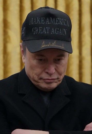 Elon Musk's Support for Primary Opponents to Trump