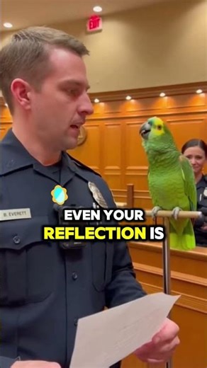 “Forehead Has A ZIP Code” 😭🦜🔥 (Savage Line)