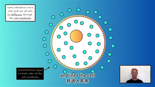 【中英字幕】IGCSE 生物 Biology - Diffusion (3.1)